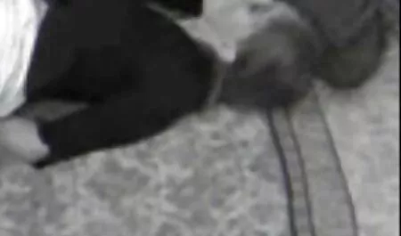 همسرش در تصاویر سکسی متحرک خارجی آشپزخانه مسابقه را قرعه کشی کرد